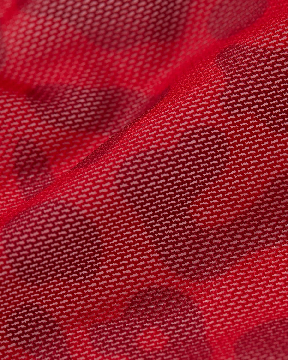PSD Everyday | Mesh - Leo - Tanga - Mesh
