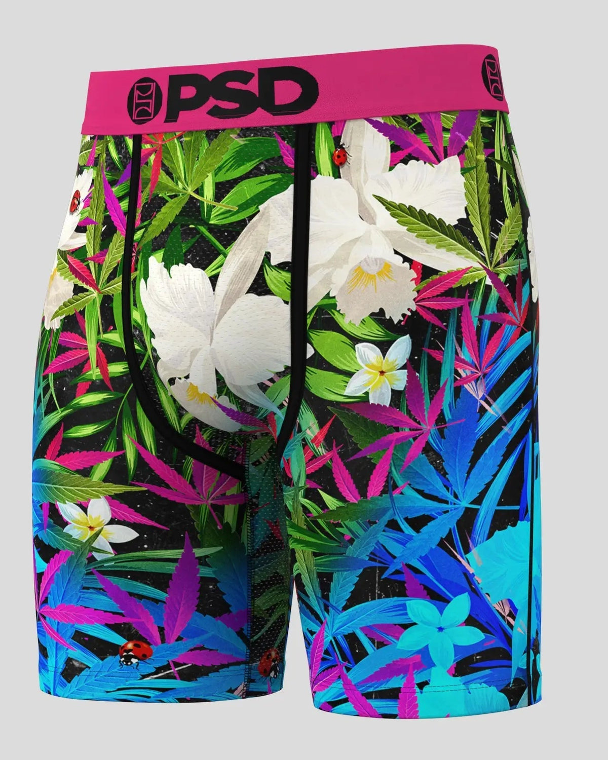 PSD Popular | 6 Pack - Tropics - Standard Length