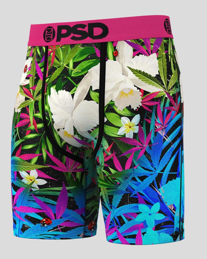 PSD Popular | 6 Pack - Tropics - Standard Length