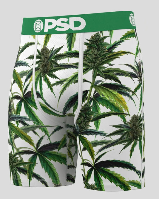 PSD Value | Buds & Bloom - Standard Length