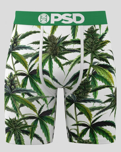 PSD Value | Buds & Bloom - Standard Length