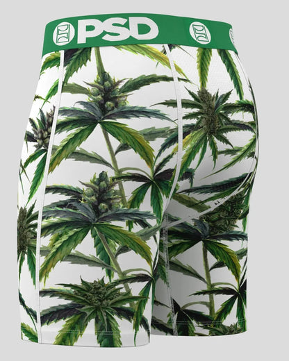 PSD Value | Buds & Bloom - Standard Length