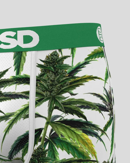 PSD Value | Buds & Bloom - Standard Length